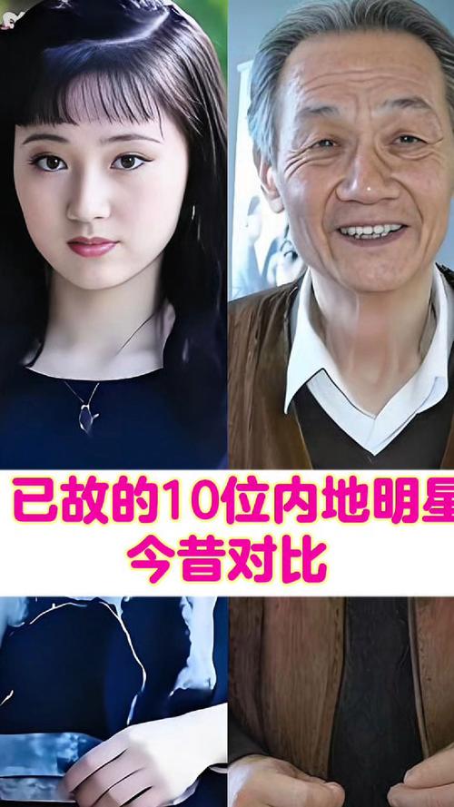 退出娱乐圈的明星们_永久退出圈娱乐明星是谁_永久退出娱乐圈的明星