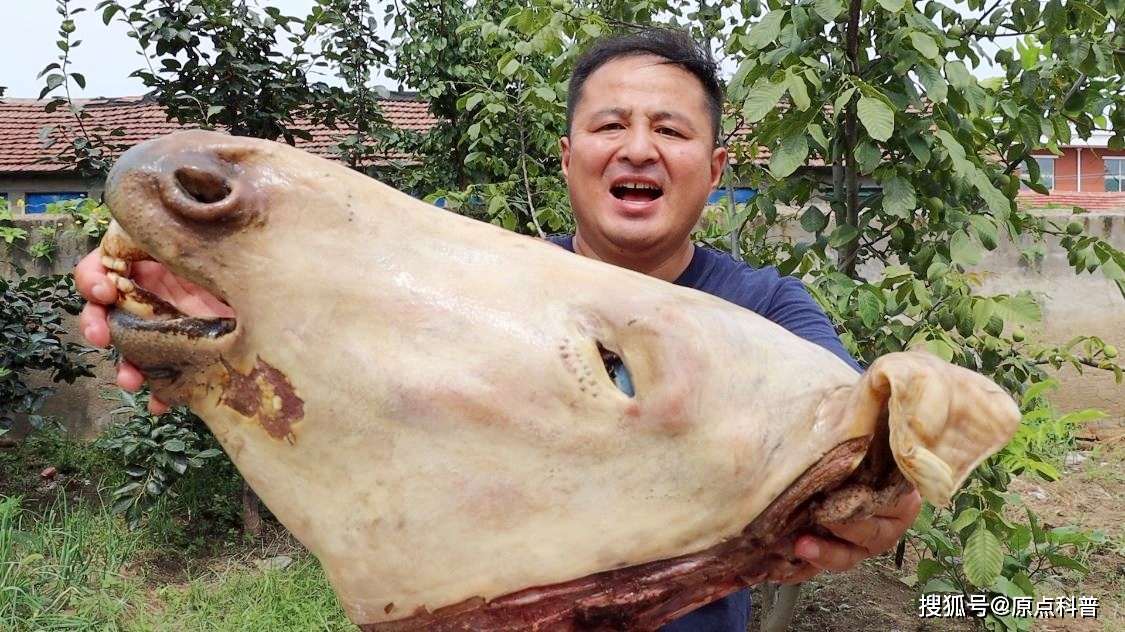 中国黑暗料理盘点_云南昆虫宴特色菜_黑暗料理排行榜前十名网红,