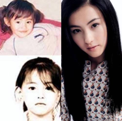 娱乐圈中明星童年照_童年圈娱乐照明星中国有几个_童年圈娱乐照明星中国有哪些