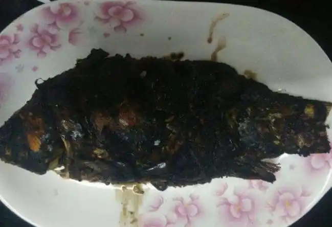 厨房小白黑暗料理做法_煎鲫鱼失败经验_明星黑暗料理图片大全高清,